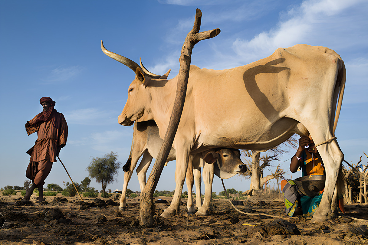éléveur image d'illustration